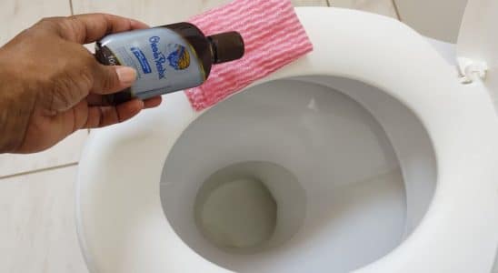 como deixar o banheiro cheiroso