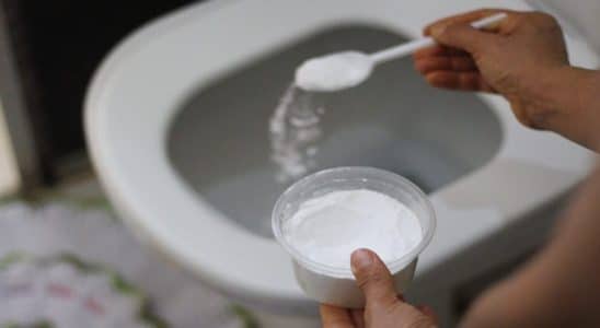 misturinha caseira para limpar banheiro