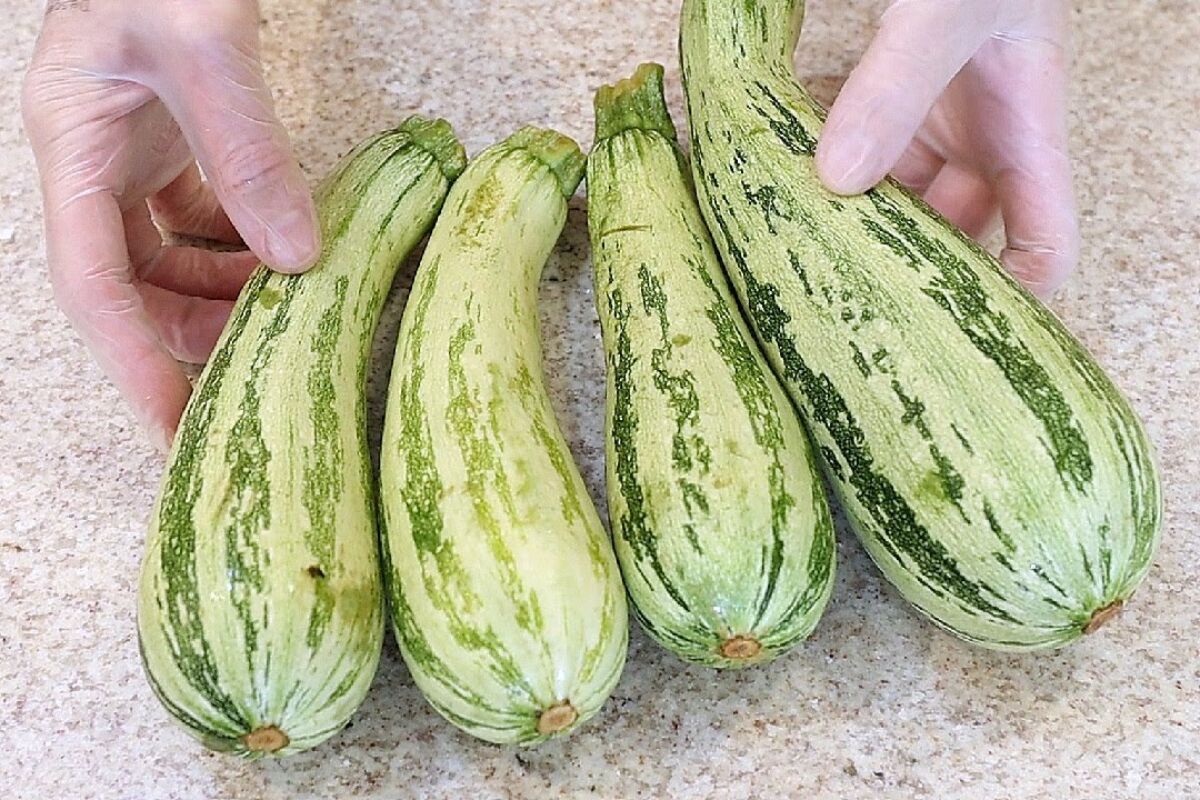 receita de abobrinha