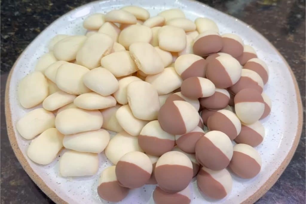 BISCOITO DE LEITE NINHO 09 09 1