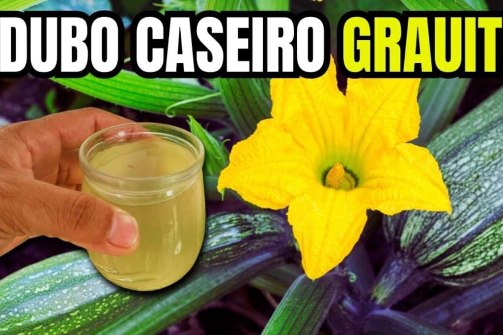 adubo caseiro para plantas