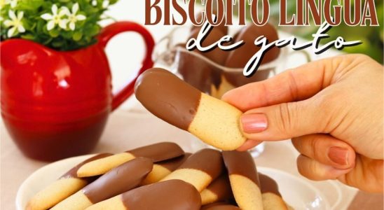 biscoito língua de gato