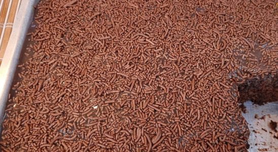 bolo de chocolate simples