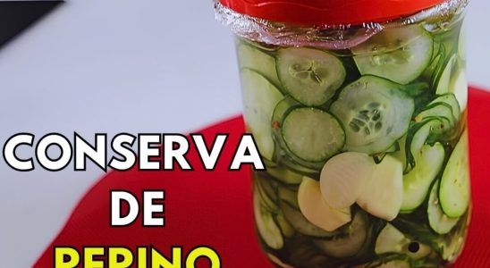 conserva de pepino