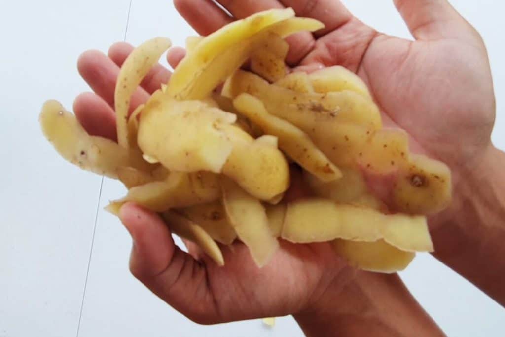 adubo caseiro para roseiras