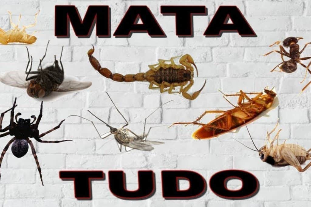 inseticida caseiro