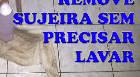 limpa pisos caseiro
