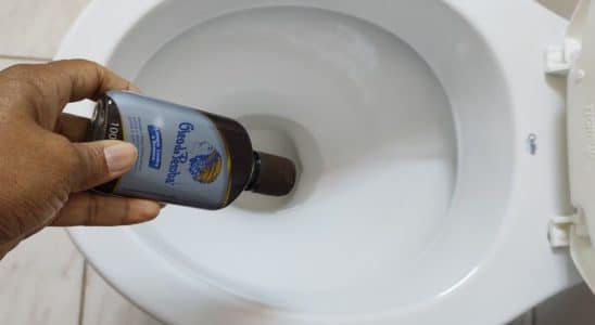misturinha caseira para limpar banheiro