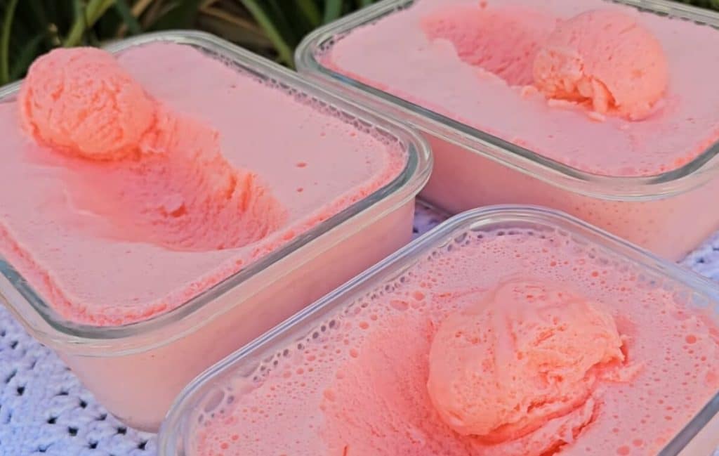 sorvete caseiro com gelatina 24 10 1