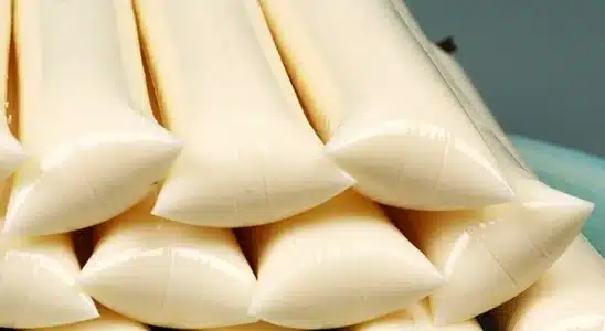 Geladinho de coco cremoso que não vai ao fogo e é sucesso de vendas para você faturar muito neste verão 1 geladinho de coco