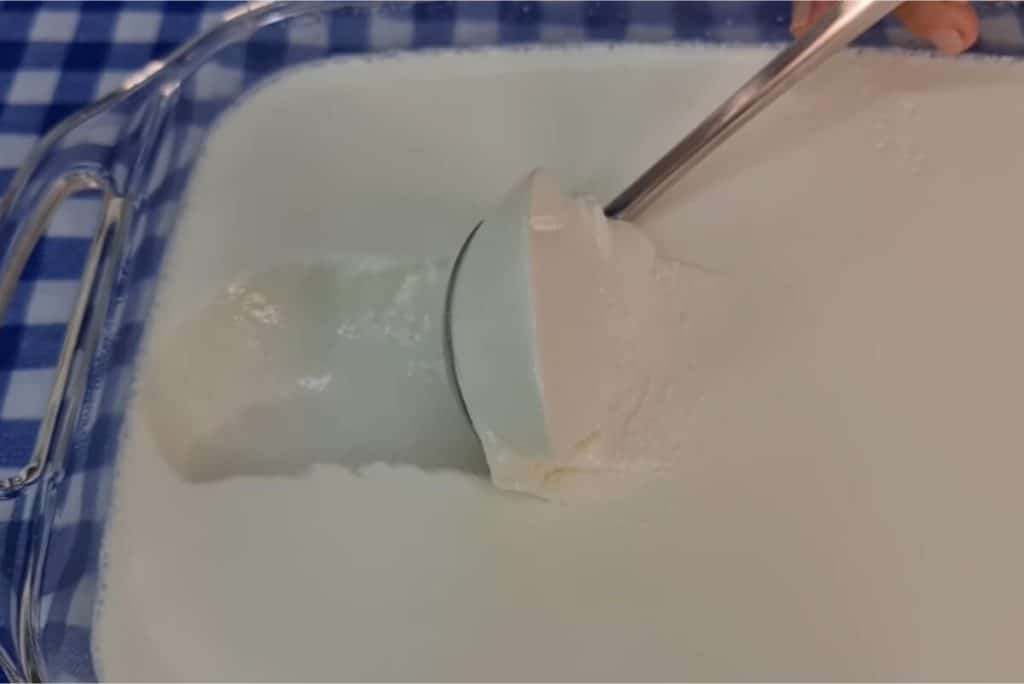 iogurte grego caseiro