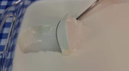 iogurte grego caseiro