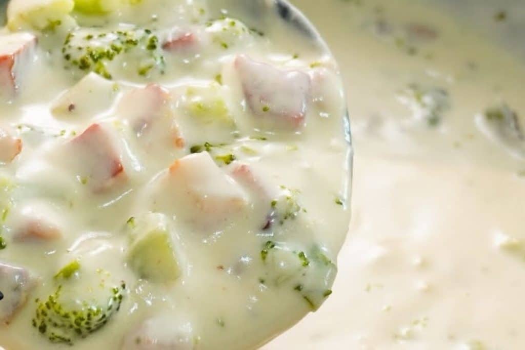 Molho para lasanha e macarronadas, feito com uma base branca deliciosa e brócolis, uma delícia 22 Molho para lasanha