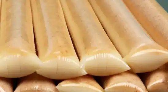 Geladinho cremoso de amendoim delicioso feito sem leite condensado, que a família vai amar 2 Geladinho cremoso de amendoim