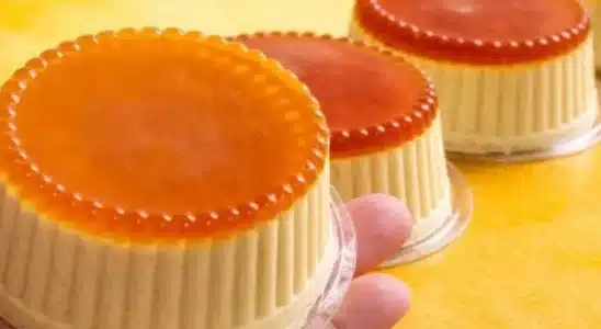 Sobremesa sem leite condensado rápida e fácil, um doce bem gelado para fazer gastando pouco 4 Sobremesa sem leite condensado