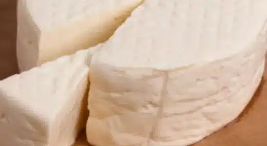 Queijo caseiro feito com apenas três ingredientes no estilo queijo minas, para você receber muitos elogios 4 Queijo caseiro