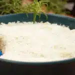 Pavê de coco prático e geladinho, feito sem forno e sem fogão, uma sobremesa incrível no dia a dia 1 Pavê de coco