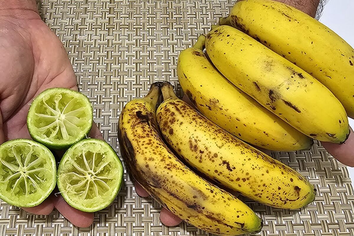 Sobremesa fácil, um doce geladinho, refrescante e saudável que vai encantar a família 59 Sobremesa fácil