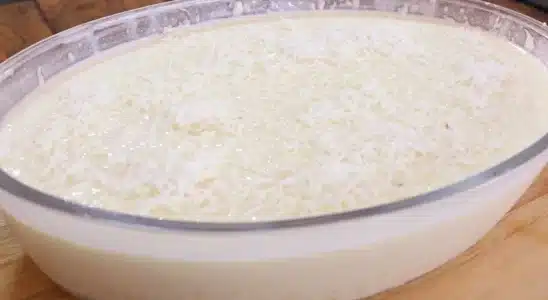 Creme de tapioca macio e refrescante com gostinho de coco, uma sobremesa gelada incrível 1 Creme de tapioca