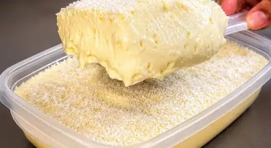 Sobremesa de 2 ingredientes que é só bater no liquidificador e levar para gelar, uma gostosura 4 Sobremesa de 2 ingredientes