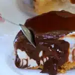 Torta cremosa feita sem gelatina e sem ovos de forma simples e rápida, uma sobremesa divina 1 Torta cremosa