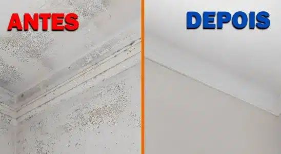 Misturinha caseira para tirar mofo das paredes, que vai deixar tudo limpinho e como se fosse novo sem esforço 1 Misturinha caseira para tirar mofo das paredes