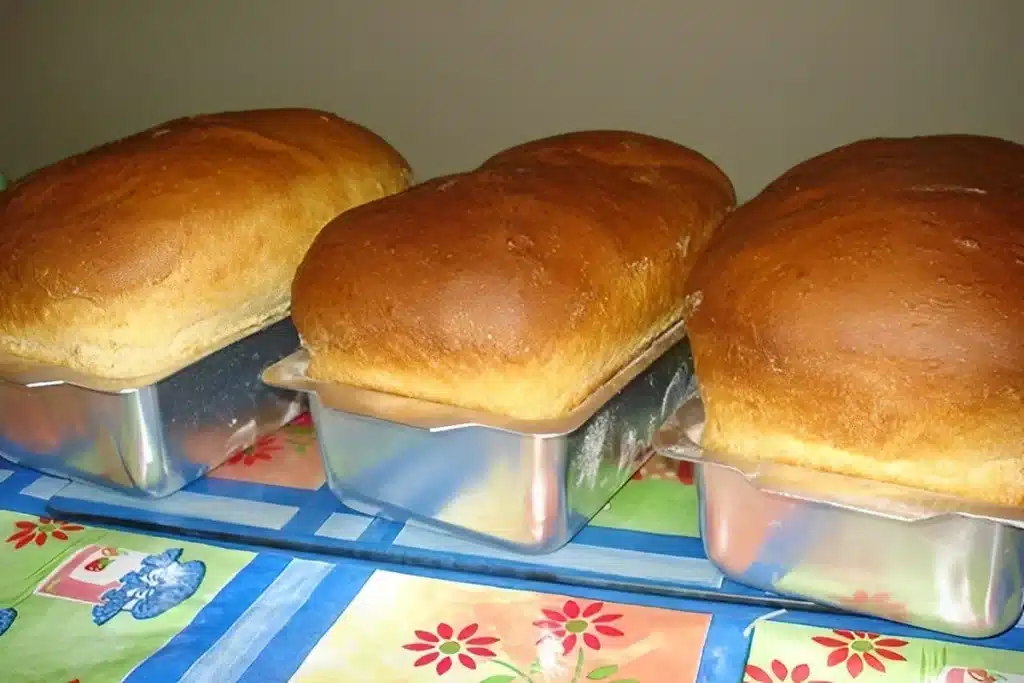 Pão caseiro fácil que cresce bastante e rende vários pães super macios e fofinhos, uma delícia 4 Pão caseiro