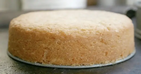 10 Dicas para o Bolo Crescer 1 pão de ló