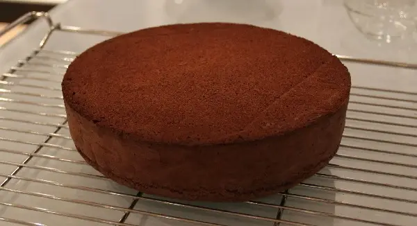 Genoise de Chocolate 3 genoise