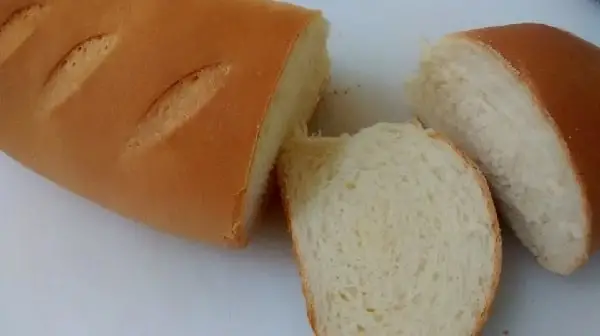 Pão de Liquidificador 9 pão de liquidificador1