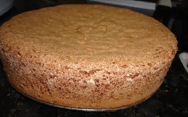 Pão de Ló de Nozes com Chocolate 4 pão de ló de nozes com chocolate