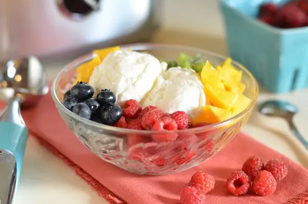 Frozen Yogurt Fácil 3 frozen2