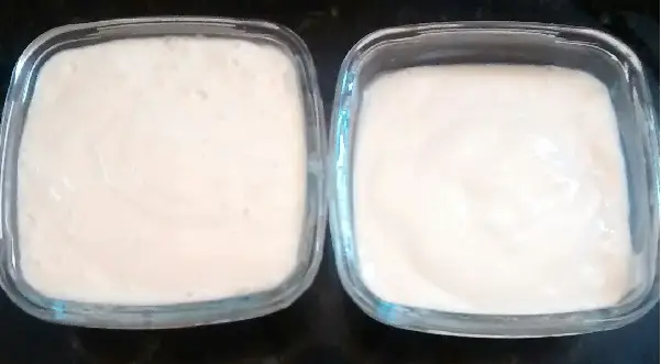 Creme de Leite Caseiro Econômico 4 cl s