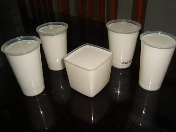 Requeijão Caseiro de Liquidificador 1 requeijão