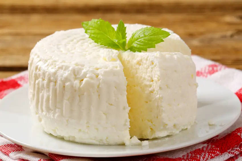 Ricota Caseira em 2 Minutos 1 cheese