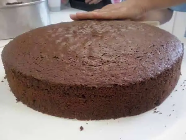 pão de ló