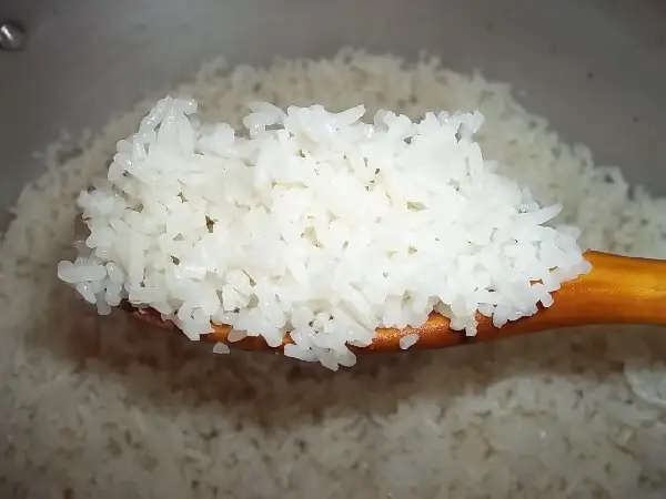 arroz3