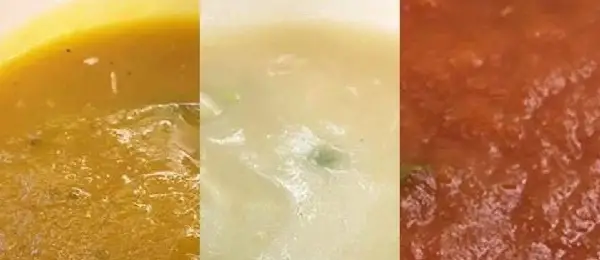 3 Caldos Leves e Deliciosos Para Emagrecer 2 caldos9