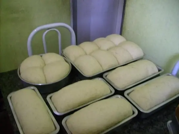 Pão da Néia 1 pao-que-rende-muito2