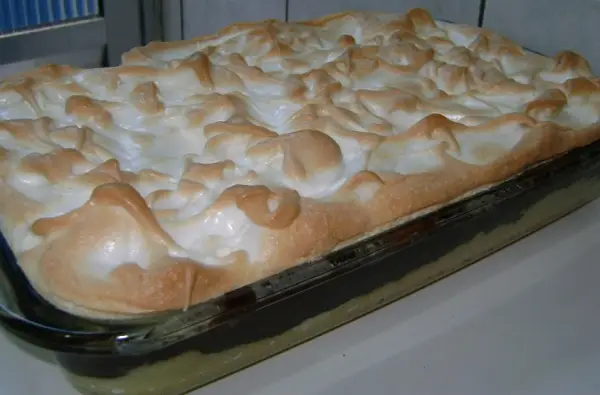 Torta de Coco com Chocolate 3 torta de coco