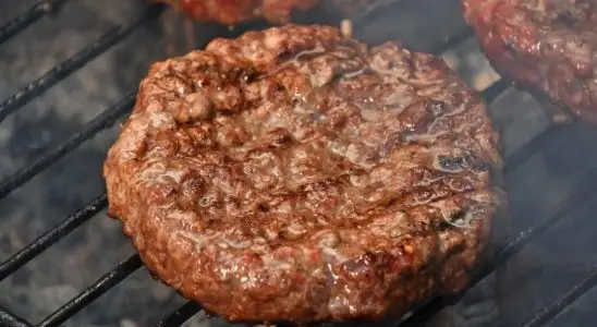 Hambúrguer simples, delicioso e econômico, perfeito para o cardápio do dia a dia 2 hambúrguer