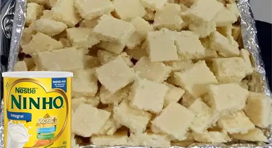 Cocada de Leite Ninho prática e fácil um docinho maravilhoso que sua família vai amar 3 Cocada de leite ninho