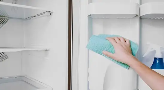 Como desinfetar sua geladeira com 3 receitas caseiras e deixá-la novinha em folha 2 como desinfetar sua geladeira