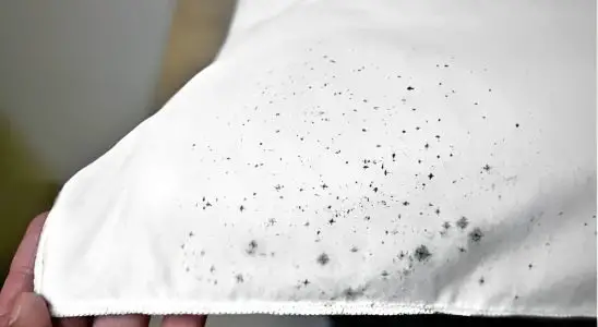 Dica caseira para retirar mofo das roupas usando ingredientes que você tem no armário 3 Dica caseira