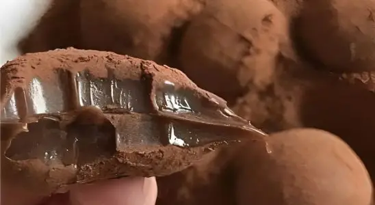 Trufa tradicional ou trufa belga