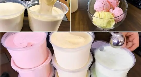 Sorvete caseiro prático feito com Suco Tang e outros ingredientes que você tem no armário 3 Sorvete de tang