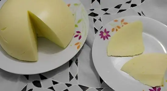 Queijo manteiga caseiro pra fazer gastando pouco com ingredientes que você tem em casa 3 Queijo manteiga caseiro