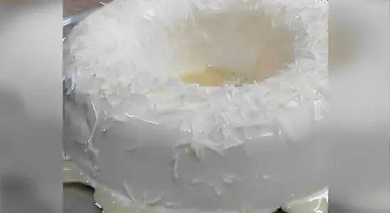 Pudim de coco de geladeira sem ovos e sem forno é só bater os ingredientes e levar para gelar 3 Pudim de coco