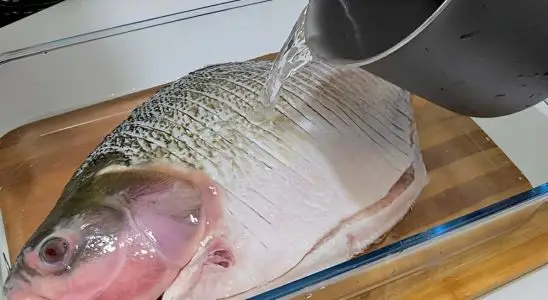 Peixe assado inteiro delicioso e muito fácil de fazer uma ótima receita para a sexta-feira santa 4 peixe assado