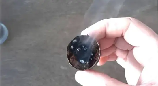 Fiz esse truque e acabei com todos os pernilongos e mosquitos da minha casa 4 pernilongos